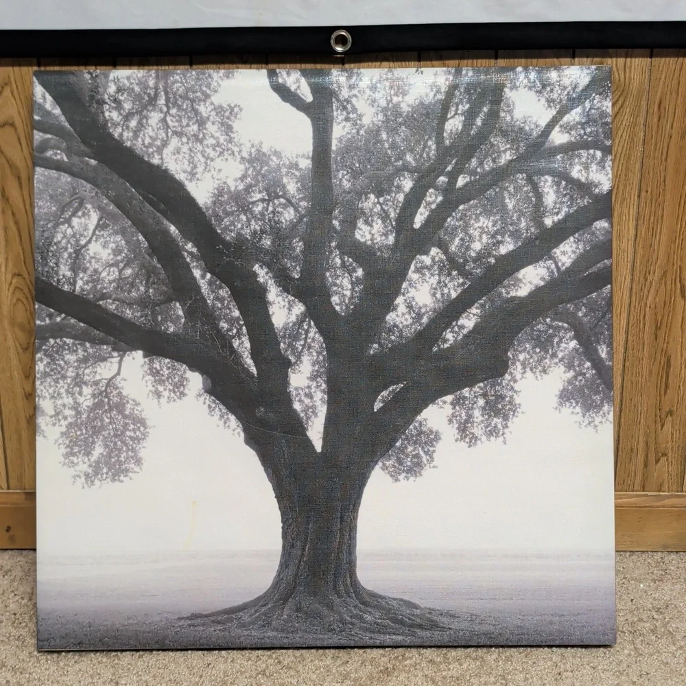 Tree of Life Black & White Photo 23.5 By 23.5 Stretched Canvas Art - Picture 1 of 10